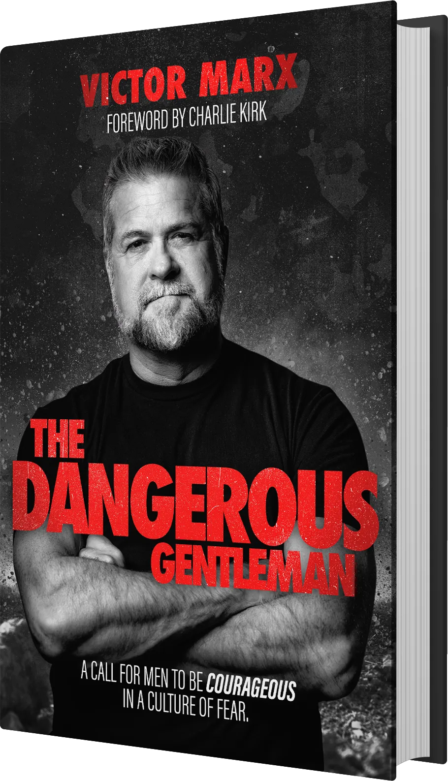 vm-thedangerousgentleman-bookmock